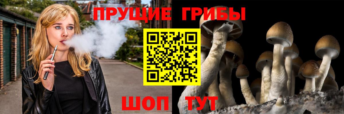Галлюциногенные грибы мухоморы Ливны